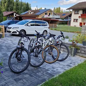 Apartment Ski-bike-apartment Bayerwald, Lohberg
